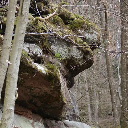 Du Coucou In * Lichtenberg